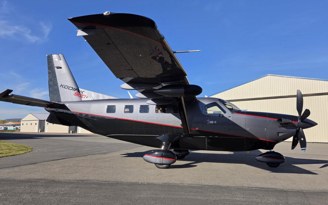 Kodiak 900 delivery